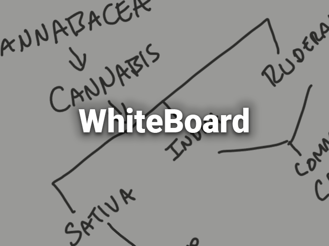 WhiteBoard Tool Image